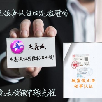 菲律賓使館蓋章戶籍公證、親屬關系公證書