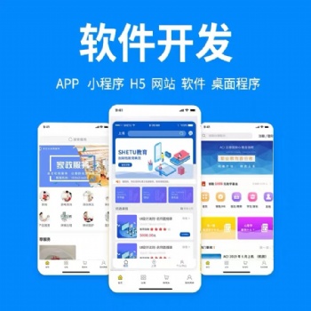 小程序開發，軟件定制，項目開發，app開發，公司管理系統，定制系統