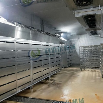 牛羊肉類解凍水產(chǎn)品解凍雞鴨解凍 低溫高濕解凍機(jī)