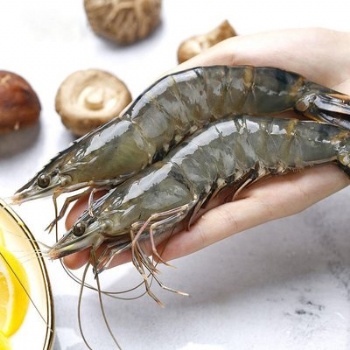 冷凍魚蝦進口報關通關流程及**注意細節(jié)