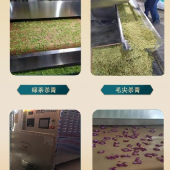桂花微波殺青機(jī) 隧道式花茶茶葉生產(chǎn)線 金銀花玫瑰花固色設(shè)備