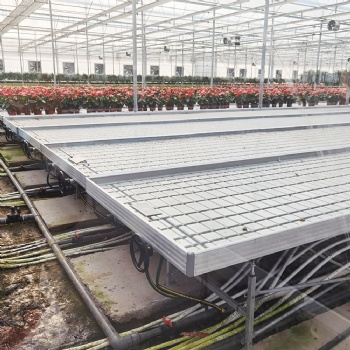 多種植物栽培潮汐苗床 大棚溫室水培苗床 加厚塑料面板抗壓強