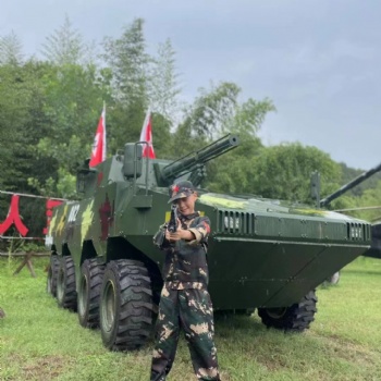 軍事模型廠家 動(dòng)態(tài)裝甲車模型設(shè)備制作廠家