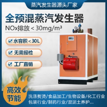 思耐德全預(yù)混超低氮燃?xì)庹羝l(fā)生器