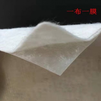 杭州水利圍堰等工程常用復(fù)合土工膜廠家