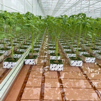 博超多肉種植潮汐苗床定制 ABS育苗盤過濾網上下水