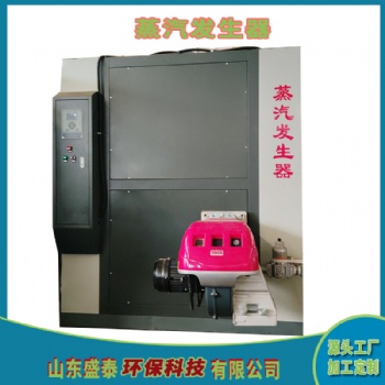 1噸蒸汽發(fā)生器 燃煤生物質(zhì)蒸汽發(fā)生器