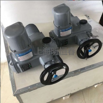 奧瑪電動多功能執行器