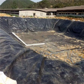 養(yǎng)殖廠建設(shè)沼氣池氧化塘調(diào)節(jié)池垃圾填埋場(chǎng)防滲土工膜