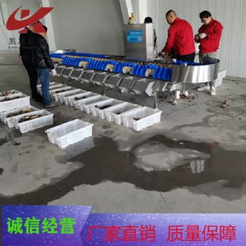 柑橘全自動稱重分級分揀機(jī)圣女果全自動重量分選機(jī)