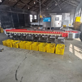 馬蹄全自動重量分級分揀機(jī)枇杷重量分選機(jī)稱重機(jī)