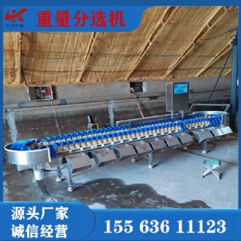 泥猴桃全自動稱重分級分選機(jī)大青棗重量分揀機(jī)稱重機(jī)