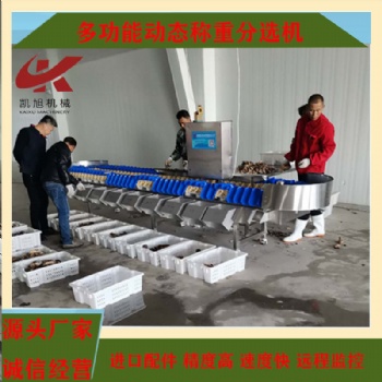 枇杷全自動稱重分選機(jī)橄欖重量分級分揀機(jī)稱重機(jī)