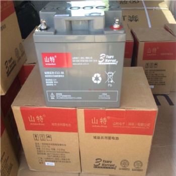 蓄電池C12-38 12V**H 6**H 100AH 適用機(jī)房UPS不間斷電源 直流屏