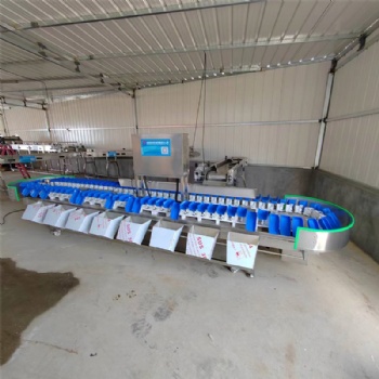 人參果全自動稱重分級分揀機(jī)楊桃全自動重量分選機(jī)