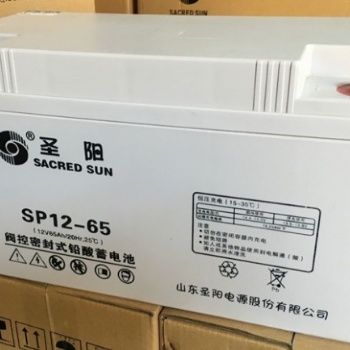 山東圣陽蓄電池SP12-65 廠家** 圣陽12V6**H UPS電源專用 鉛酸免維護(hù)蓄電池