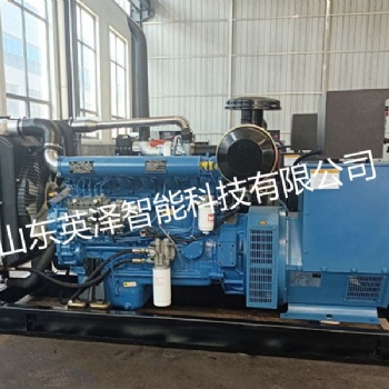 英澤柴油發(fā)電機(jī)組 通訊工程 畜牧養(yǎng)殖 通用電站 高效 可靠 耐用