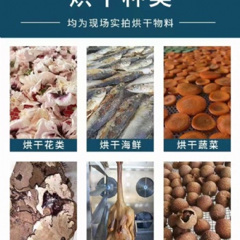 菊花熱泵空氣能烘干機(jī)