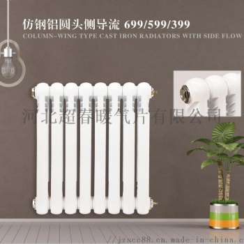 鑄鐵圓頭側倒流散熱器 優(yōu)質噴塑 耐用環(huán)保