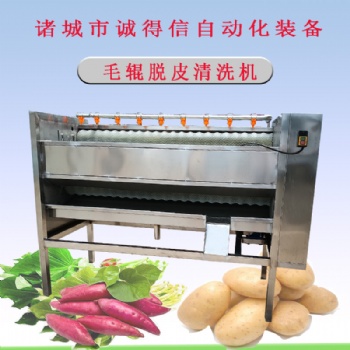 全自動土豆紅薯脫皮清洗機 全自動毛輥清洗機
