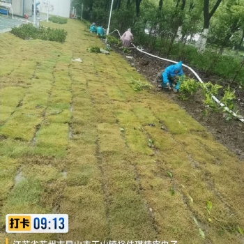 海綿備案施工驗收 蘇州富帆億綠化建筑工程公司